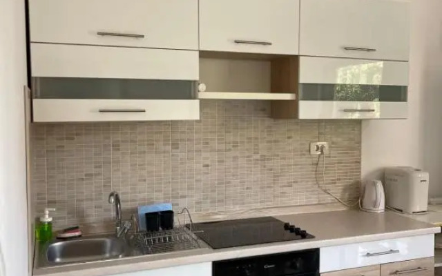 Apartment Anic Milic