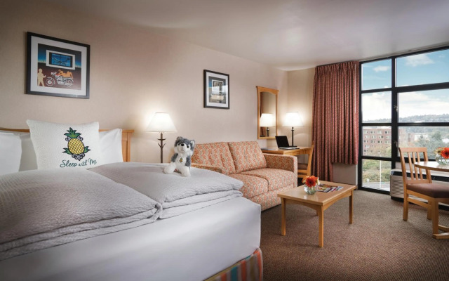 Staypineapple, University Inn, University District Seattle