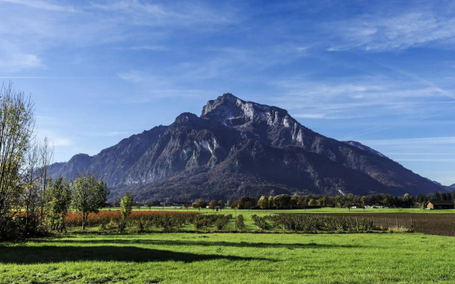 Numa Salzburg Ivy