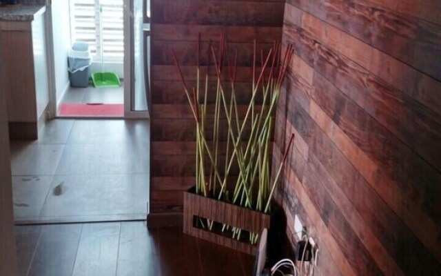 Pacifico Arica El Paso