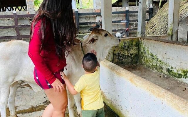 Rangel Village - Hotel Fazenda Pedra Do Rodeadouro