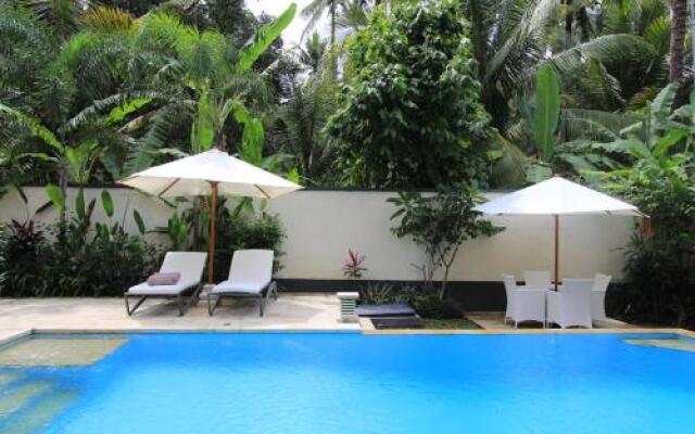 Villa Kupu Kupu Lovina