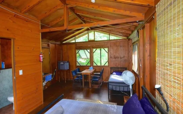 Daintree Rainforest Bungalows