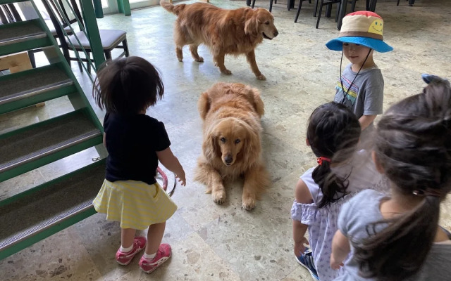 Riverside Hostel B&B – Hostel