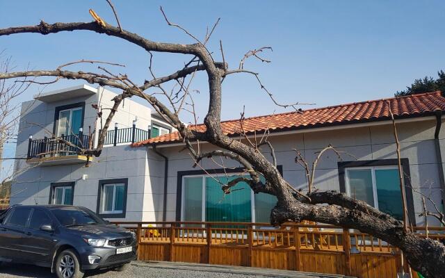 Namhae Eoneu Meotjinnal Pension