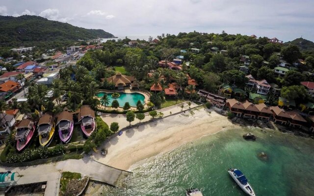 Jungle Gym & Eco Lodge - Hostel