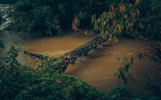 Ela Ecoland Munnar - A Nature Retreat