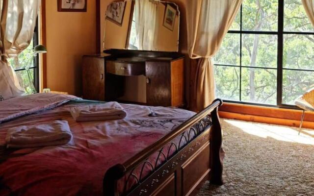 Shady Creek Eco Cabin