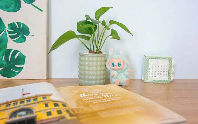 Lumina Home