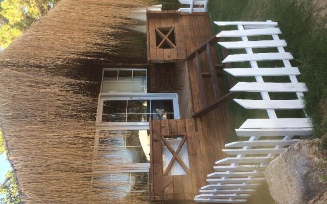 Green Pine Beach & Bungalows Luxury Concept