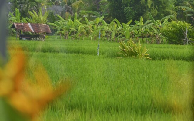 Villa Bella Batubulan