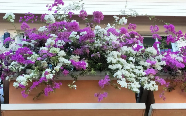 Sandy Serviced Apartment