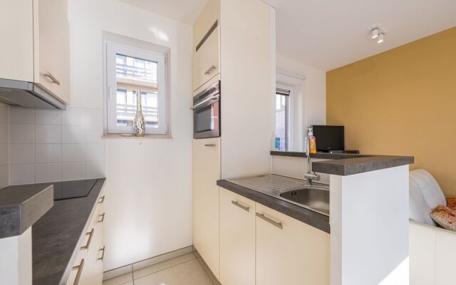 Penthouse With 2 Spacious Terraces