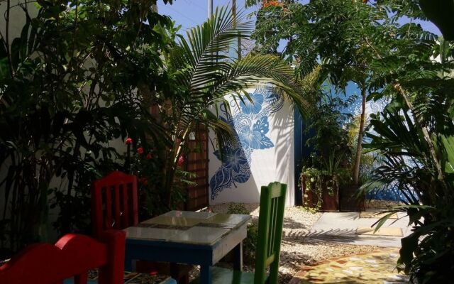 Vainilla B&B Mexico