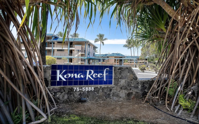 Kona Reef D32