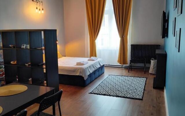 Unique studio apartment in city center