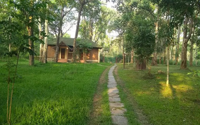 Dubare Elephant Camp