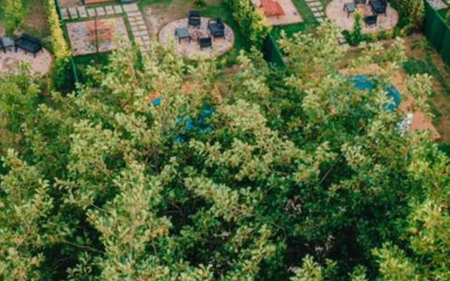 Sapanca Saklı Bungalov