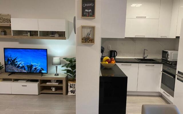 Apartment Aria - BBQ grill & garage