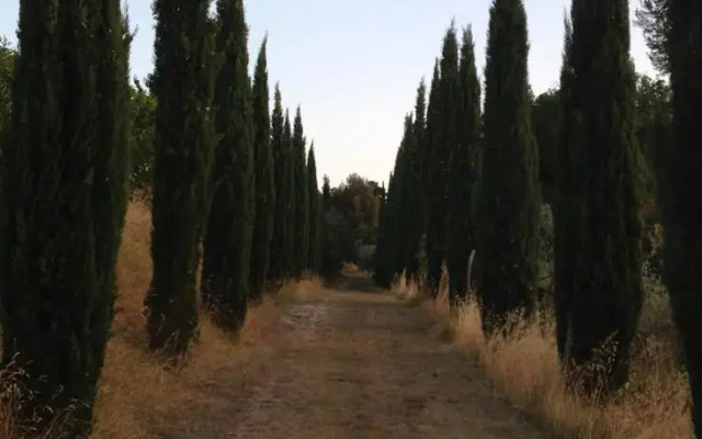 Agriturismo Villa Plini