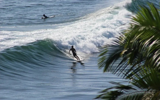 Hilo Honolii Bay Bed and Breakfast