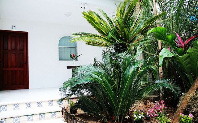 Tropical Casablanca Party Zone