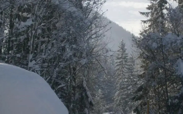 Ferienhaus Wildbachblick