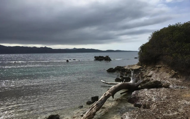 Les Marines Du Soleil