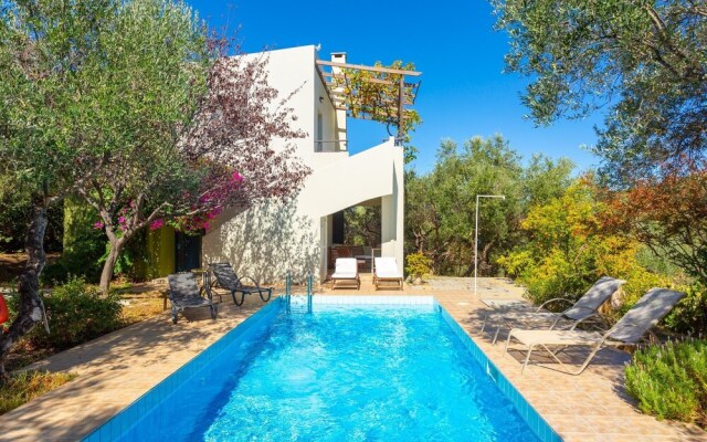 Villa Manolis Large Private Pool A C Wifi Eco-friendly - 2156