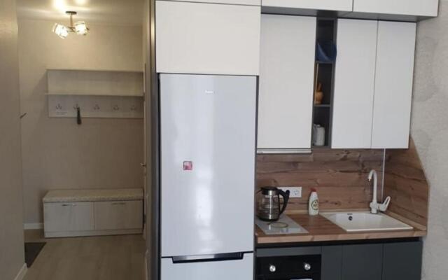 Апартаменты на улице Якоби 10