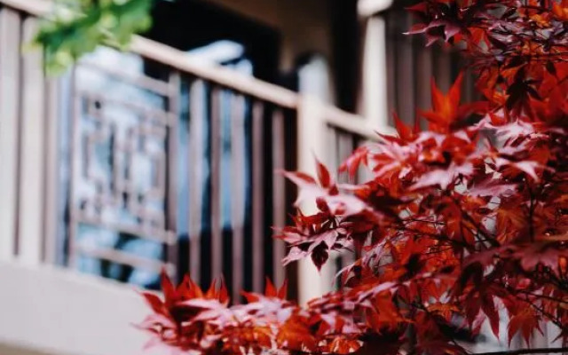 Joy Holiday Hotel Lijiang