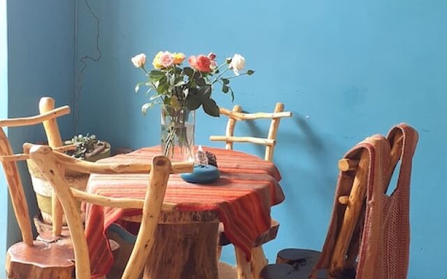 Andorina Hostal, Arte & Cultura