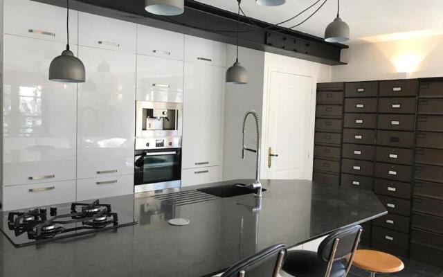 La chouette au bouleau