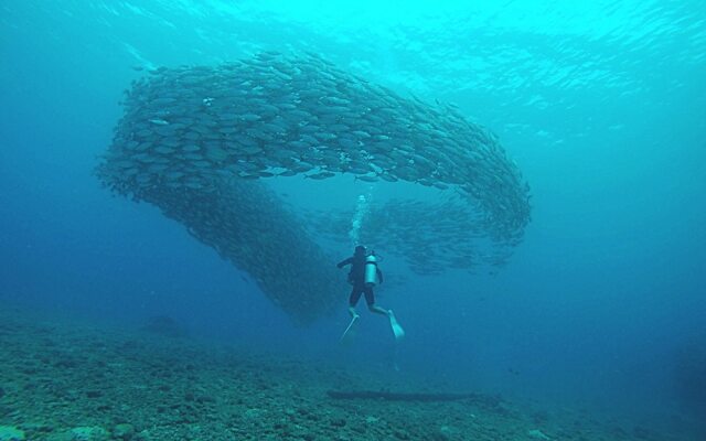 Saipan Marine Dive & Guest House