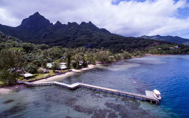 Linareva  Moorea