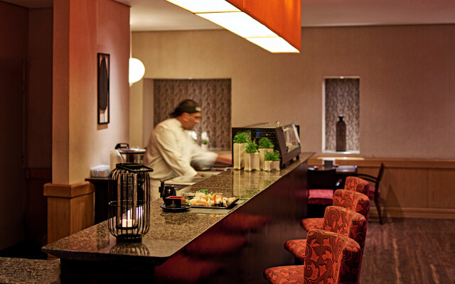 Novotel Sao Paulo Center Norte