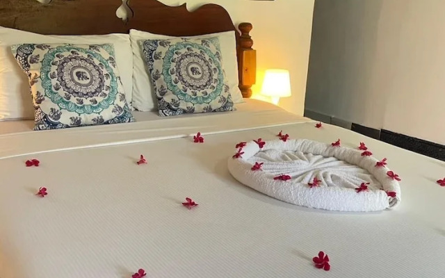 zanzllywood hotel and apartments