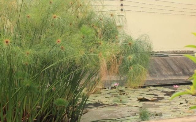 Manyi Boutique House
