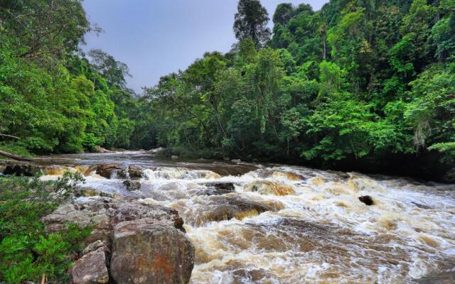 Mutiara Taman Negara