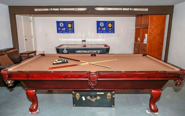 Bluebird Bear 1549 by RedAwning