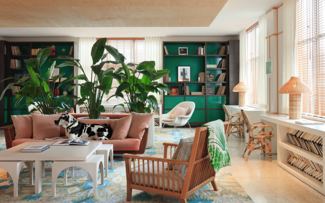 Kimpton Surfcomber Hotel by IHG