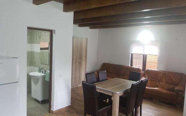 Cabana IULIUS Baile Figa