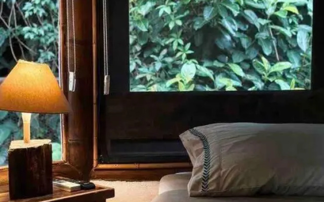 Suite Da Mata