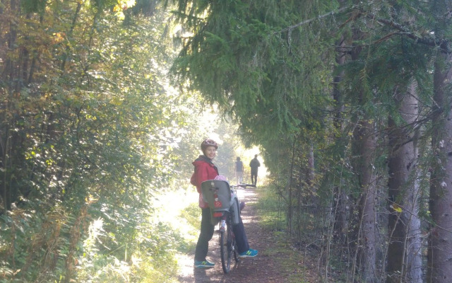 Pähkinäpuisto Apartments