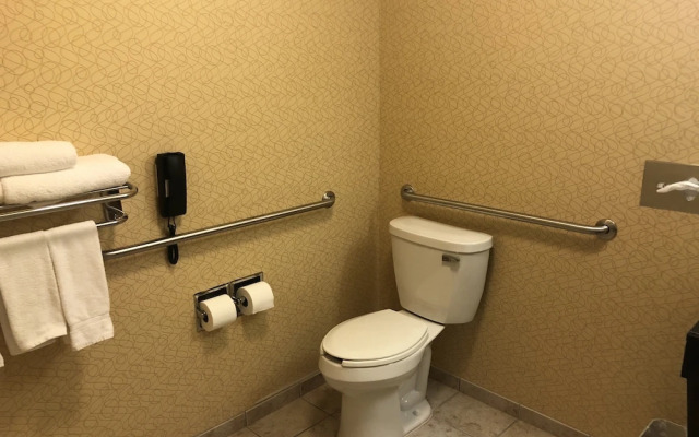 Holiday Inn Express & Suites Lansing-Dimondale