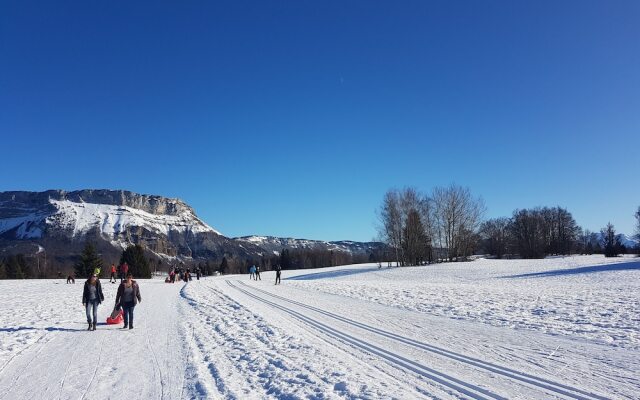 Résidence les Chalets du Berger Premium