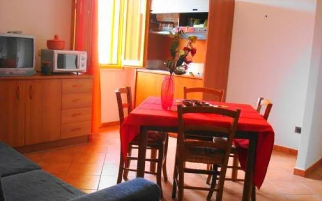 Le Palme di Conturrana Tropicale