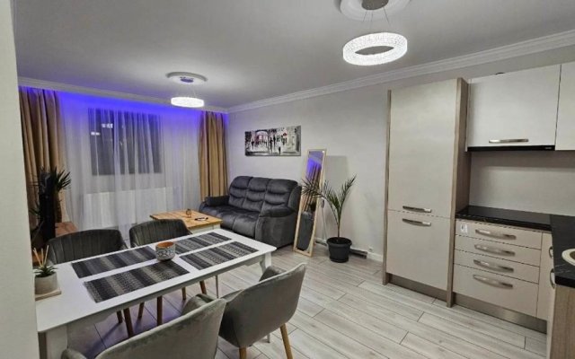 Divine Apartments Oradea Ap 19