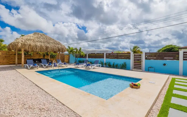 House of Joy Palapa Pool Near Eagle Beach