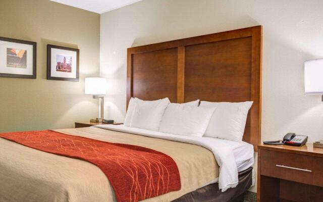 Comfort Inn & Suites Clemson - University Area